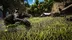 اکانت قانونی ARK: Survival Evolved برای  PS5 و PS4